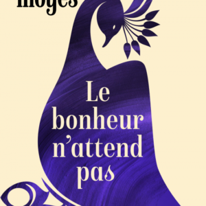 Le bonheur n'attend pas-Jojo Moyes